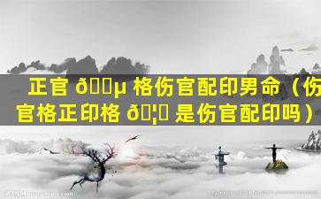 正官 🌵 格伤官配印男命（伤官格正印格 🦟 是伤官配印吗）